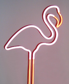 Flamingo