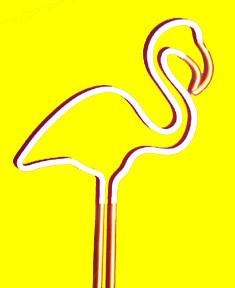 Flamingo