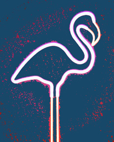 Flamingo