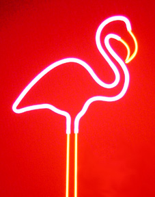 Flamingo